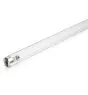 Philips T8 UV - C 36W - Ultraviolett | 120cm
